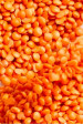 MASOOR DAL
